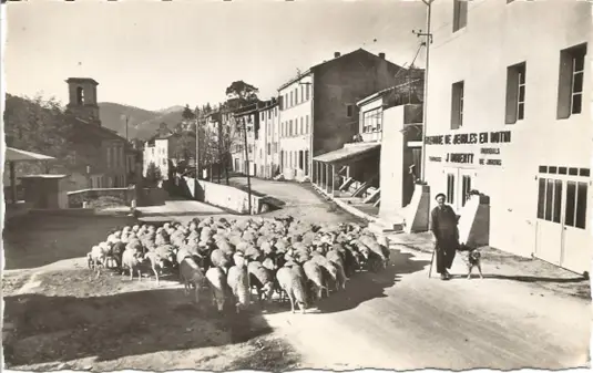 Berger et son troupeau à Auriol